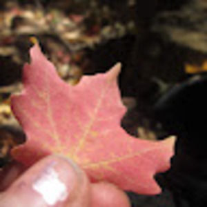 Meet your Posher, Margaret